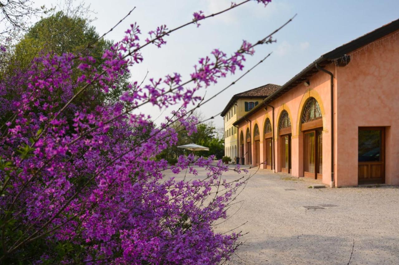 丽可斯特因农庄酒店 Ponte di Piave 外观 照片